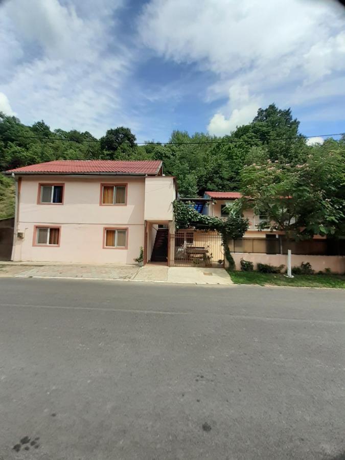 Apartmán Casa Iza Băile Herculane Exteriér fotografie